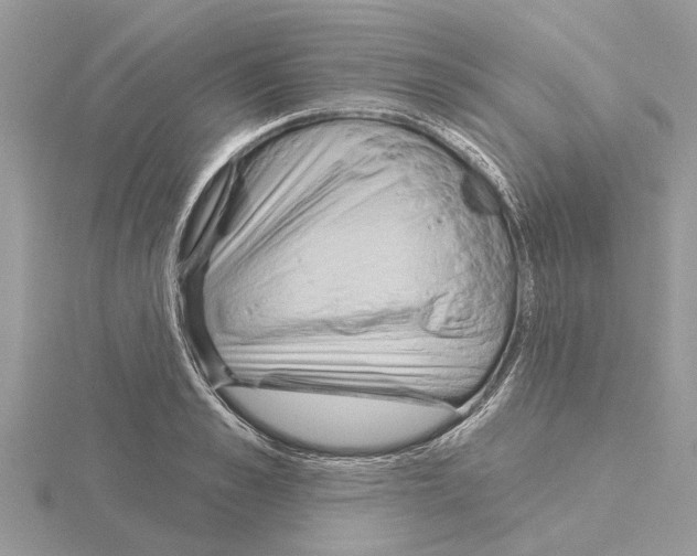 X0000115030989200912071045