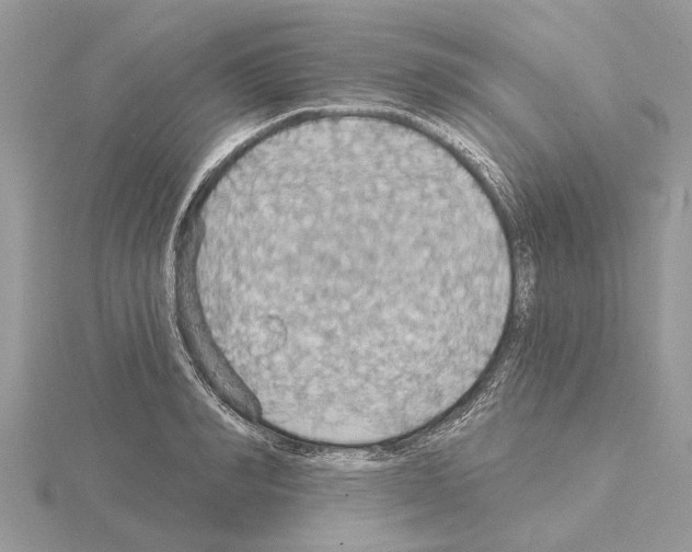 X0000115030990200912071045