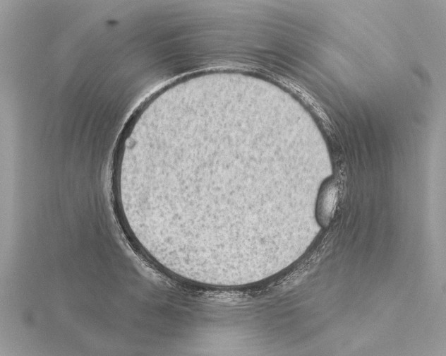 X0000115030991200912071045