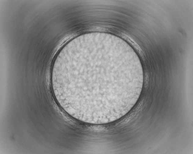 X0000115030994200912071045