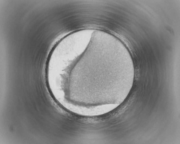 X0000115030995200912071045