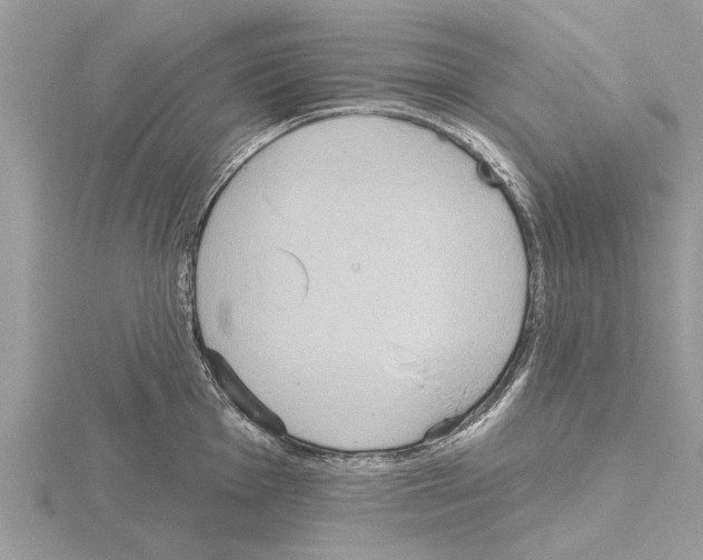 X0000115031001200912071044