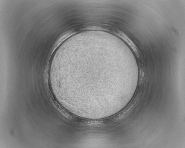 X0000115031002200912071044