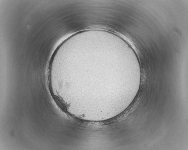 X0000115031003200912071044