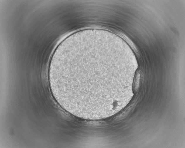 X0000115031004200912071044