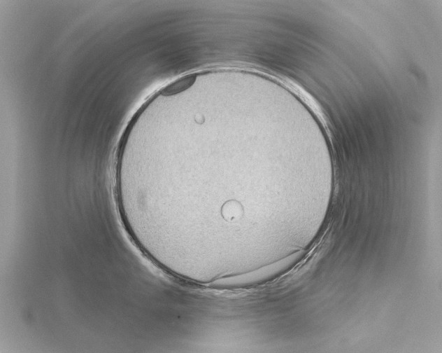 X0000115031005200912071044