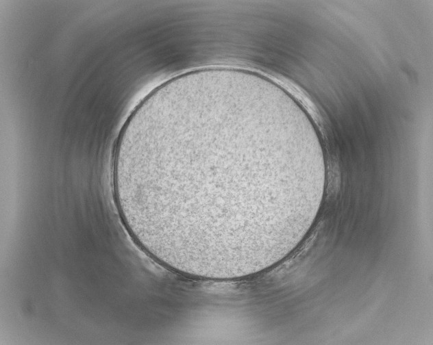 X0000115031006200912071044