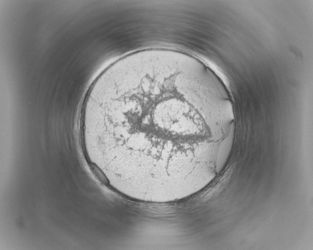 X0000115031007200912071044