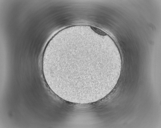 X0000115031008200912071044