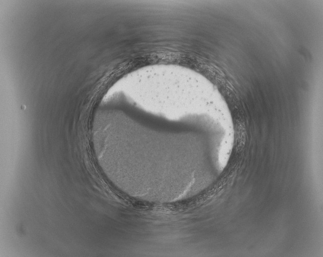 X0000115031009200912071044