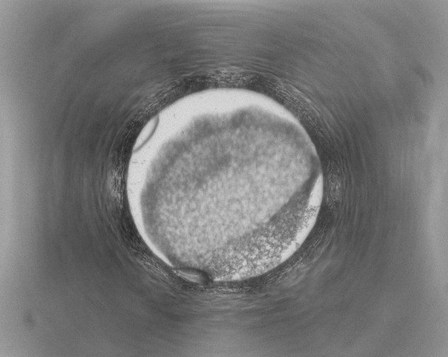 X0000115031010200912071044