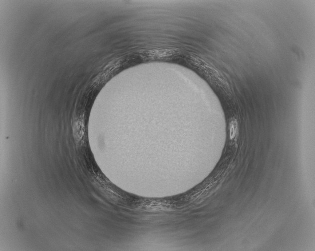 X0000115031011200912071044