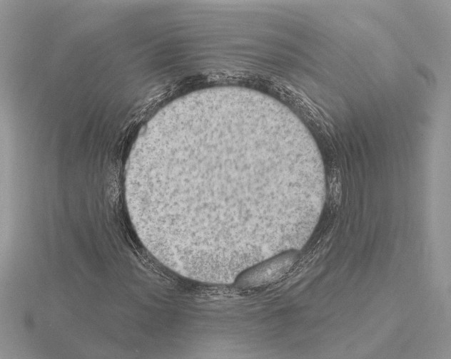 X0000115031012200912071044