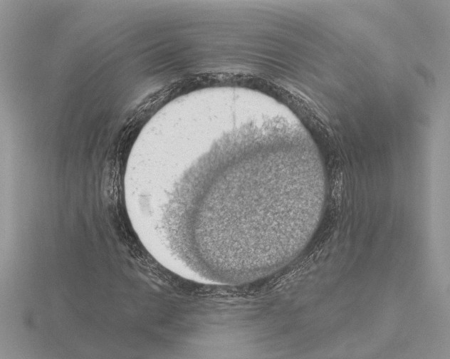 X0000115031014200912071044