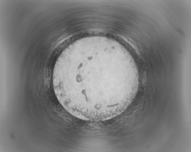 X0000115031015200912071044