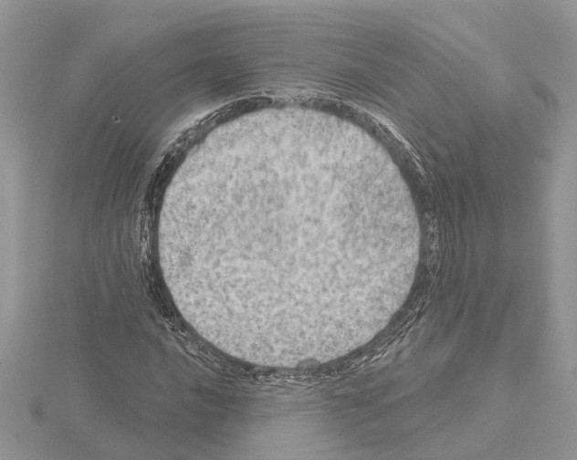 X0000115031016200912071044