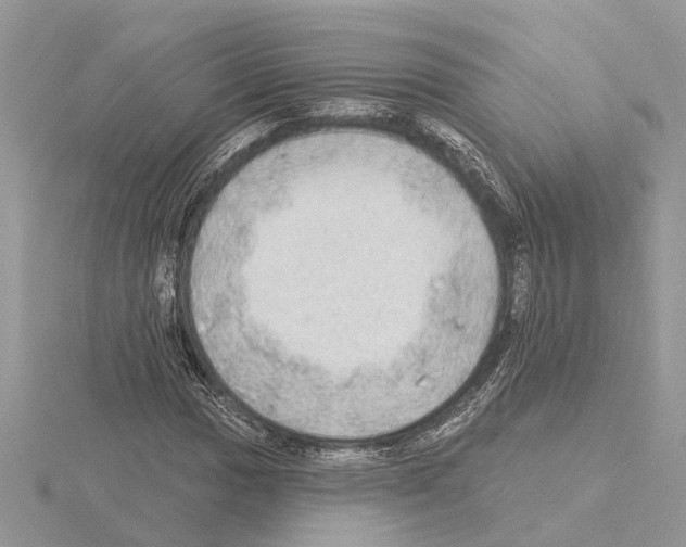 X0000115031017200912071044