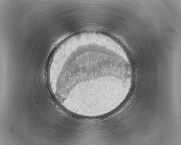 X0000115031018200912071044