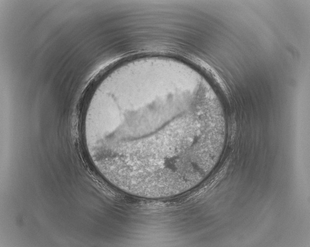 X0000115031019200912071044