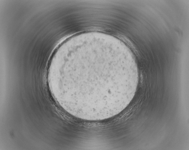 X0000115031020200912071044