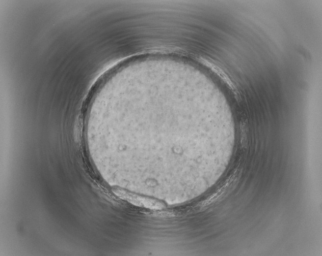 X0000115031021200912071044