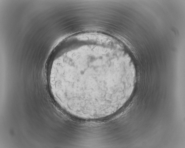 X0000115031022200912071044