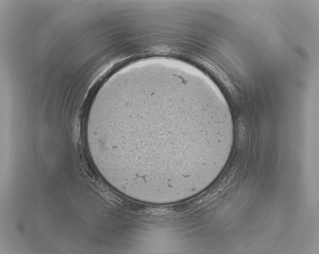 X0000115031023200912071044