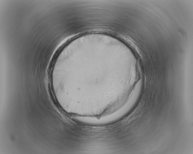 X0000115031024200912071044