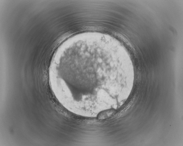 X0000115031025200912071044