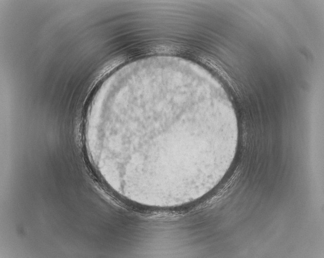 X0000115031026200912071044