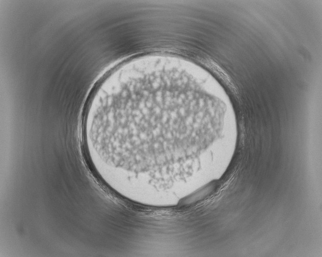 X0000115031028200912071044