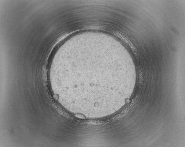 X0000115031029200912071044