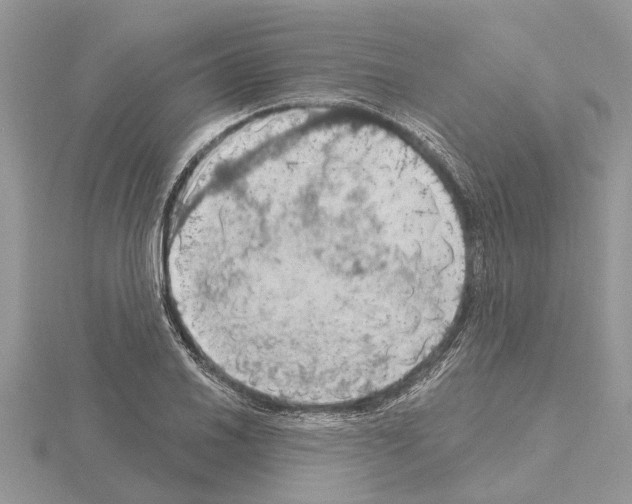 X0000115031030200912071044