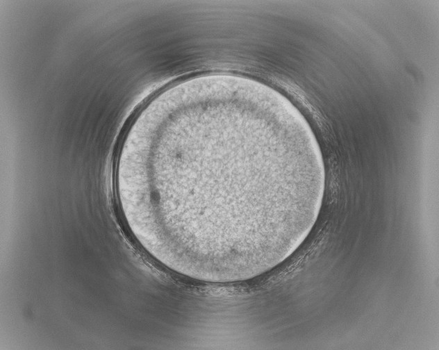 X0000115031032200912071044