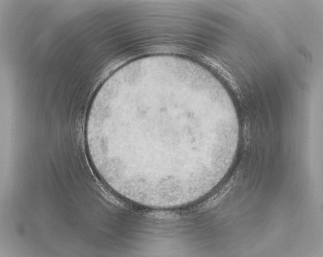 X0000115031033200912071044