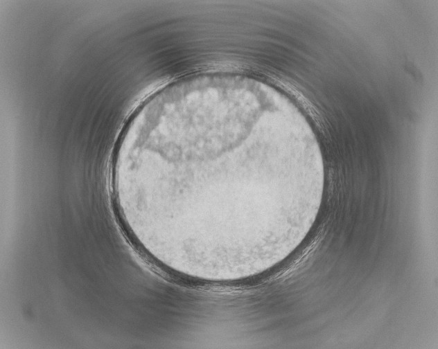 X0000115031034200912071044