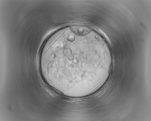 X0000115031035200912071044