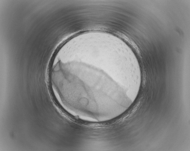 X0000115031037200912071044