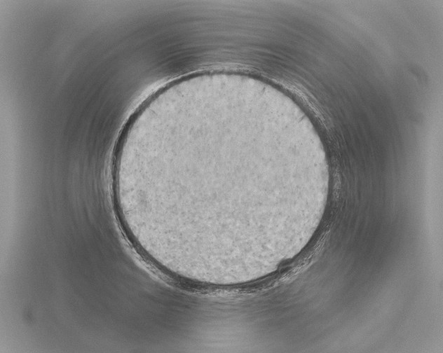 X0000115031038200912071044