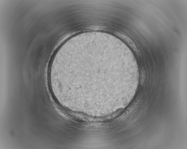 X0000115031039200912071044