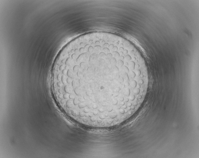 X0000115031040200912071044