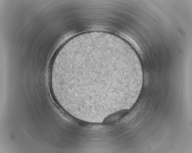 X0000115031043200912071044