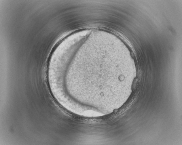 X0000115031045200912071044