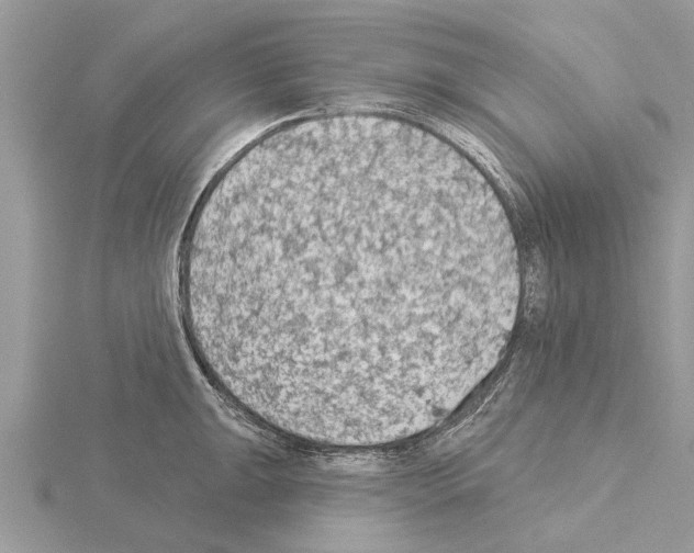 X0000115031047200912071044