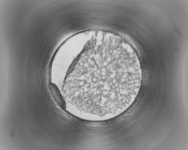 X0000115031048200912071044