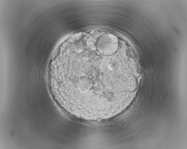 X0000115031050200912071044