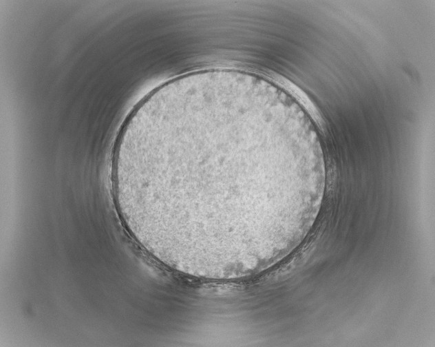 X0000115031051200912071044