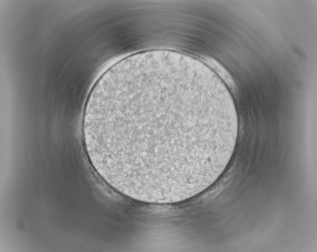 X0000115031052200912071044