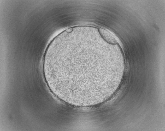 X0000115031053200912071044