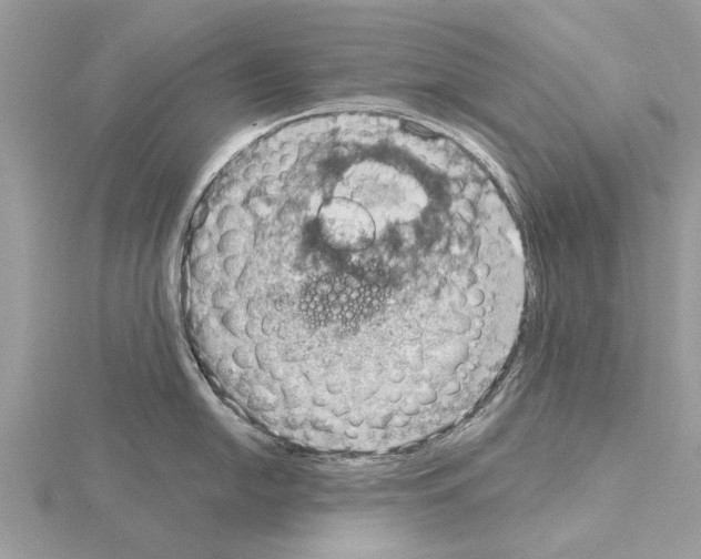 X0000115031054200912071044